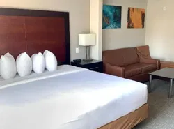 Wingate by Wyndham Atlanta Galleria/ Ballpark