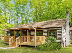 Modernized Log Cabin w Hot Tub Fire Pit & Views