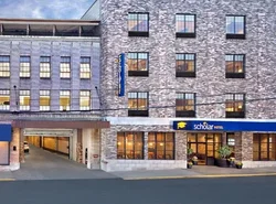 Scholar Morgantown, Tapestry Collection by Hilton