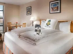 Staypineapple, University Inn, University District Seattle