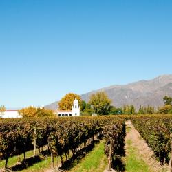 Cafayate Accommodation New York