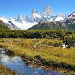 Santa Cruz Accommodation New York