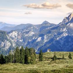 Salzburg Accommodation New York