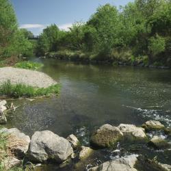 Schwechat Accommodation New York