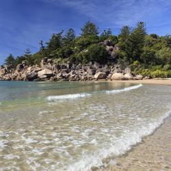 Magnetic Island Accommodation New York