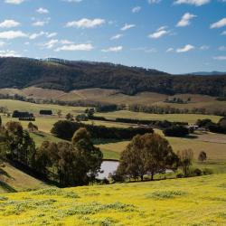 Victoria Accommodation New York