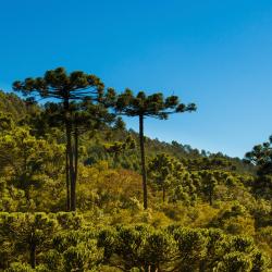 Parana Accommodation New York