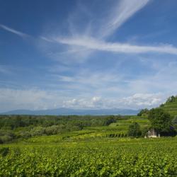 Baden-Württemberg Accommodation New York