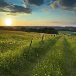 Eifel Accommodation New York