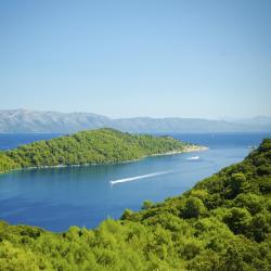 Mljet Island Accommodation New York