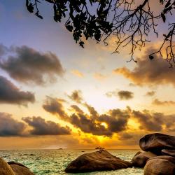 Bintan Accommodation New York