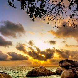 Pulau Bintan Accommodation New York