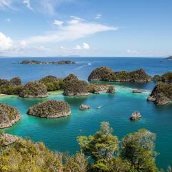 Raja Ampat Accommodation New York