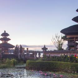 Tabanan Accommodation New York