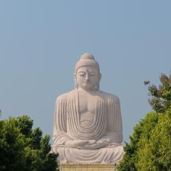 Bihar Accommodation New York