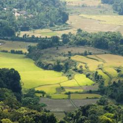 Coorg Accommodation New York