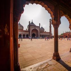 Delhi NCR Accommodation New York