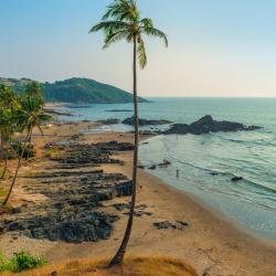 North Goa Accommodation New York