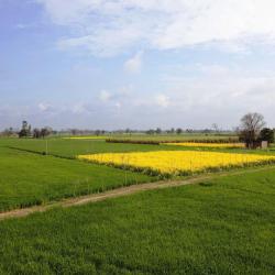 Punjab Accommodation New York