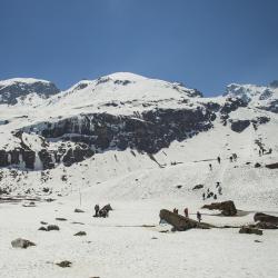 Sikkim Accommodation New York