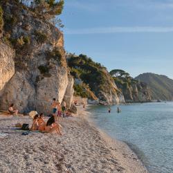 Elba Accommodation New York