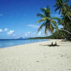 Sainte-Luce Accommodation New York