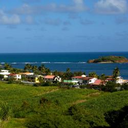 Schœlcher Accommodation New York