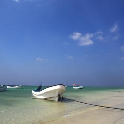 Masirah Accommodation New York