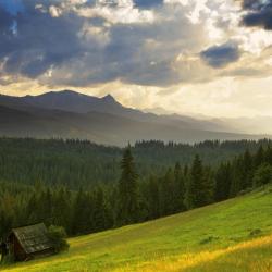 Gmina Bukowina Tatrzanska Accommodation New York