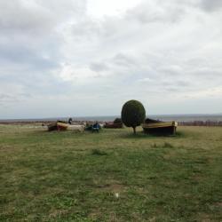 Kashubia Accommodation New York