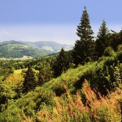 Lodz Accommodation New York