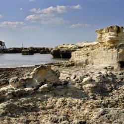 Podlaskie Accommodation New York