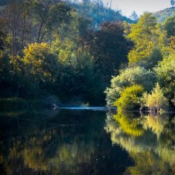 Beira Alta Accommodation New York