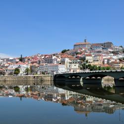 Centro Accommodation New York