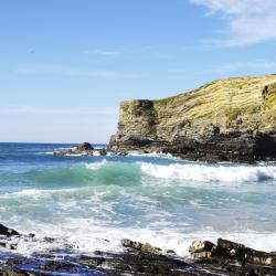 Costa Alentejana Accommodation New York