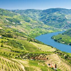 Norte Region Accommodation New York