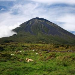 Pico island Accommodation New York