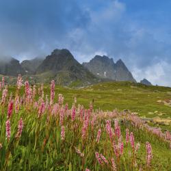 Santa Maria Accommodation New York