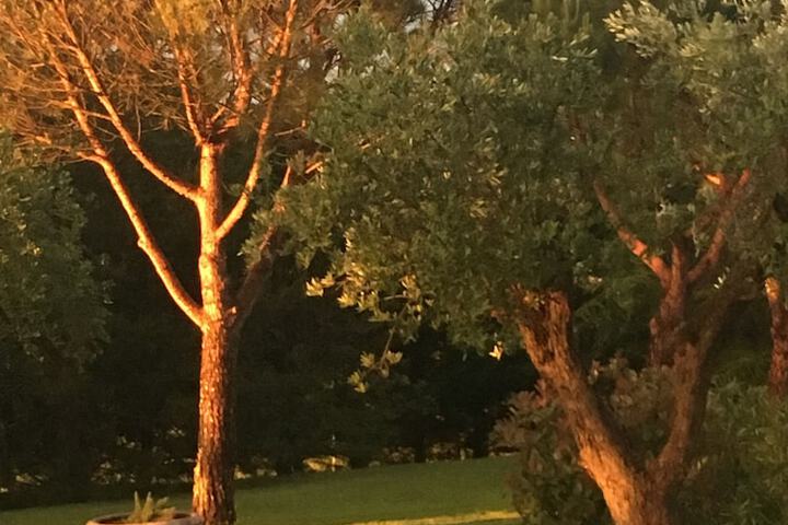 AmericInn Traverse City - thumb 1