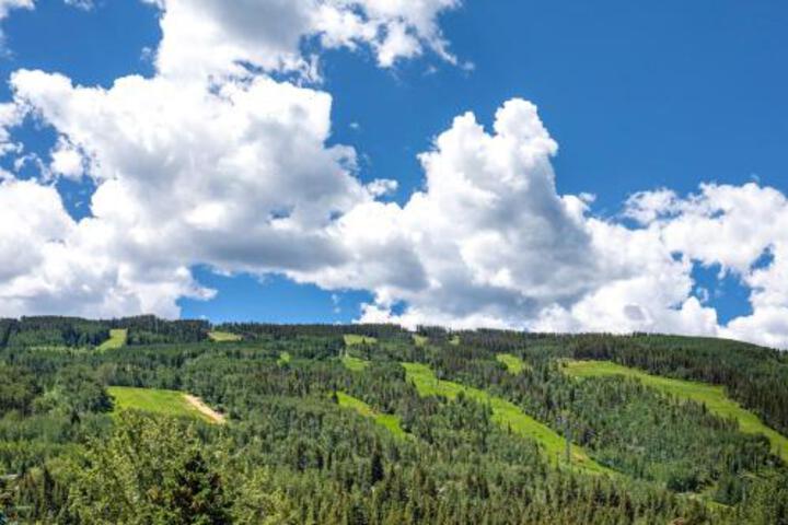 Vail International 407 - thumb 1