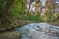 Updated Tryon Cabin on Pacolet River w / Grill