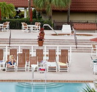 The Suites at Magic Tree - Accommodation New York