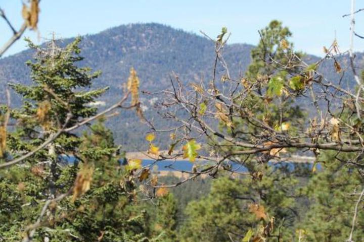 088 Rockspray Chalet Cabin - thumb 2