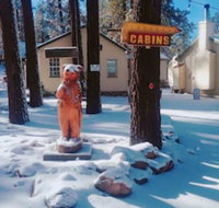 Lakewood Cabins - Accommodation New York