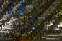 Book Cities Accommodation Vacations, Accommodation New York Accommodation New York