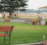 Rim Rock Motel - Accommodation New York