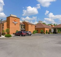 Comfort Inn - Accommodation New York