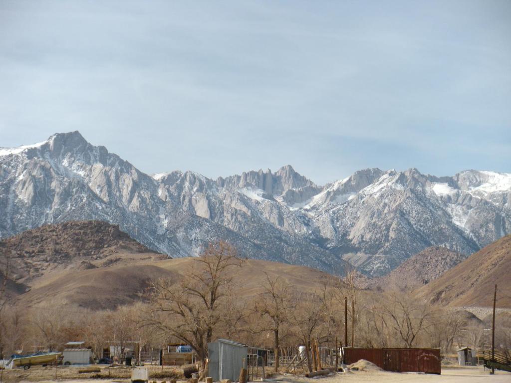 Lone Pine Budget Inn - thumb 2