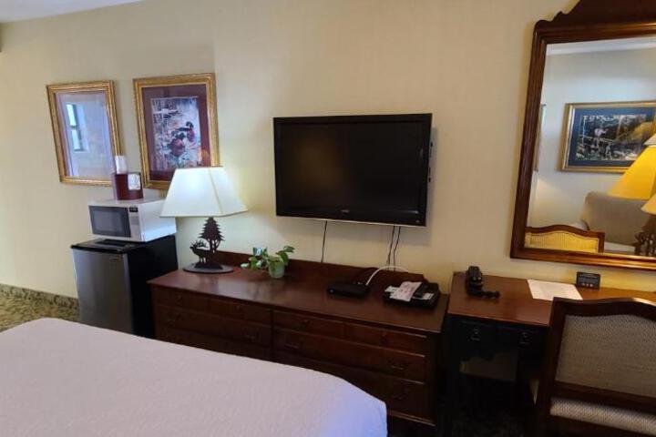 Dow Villa Motel - thumb 4