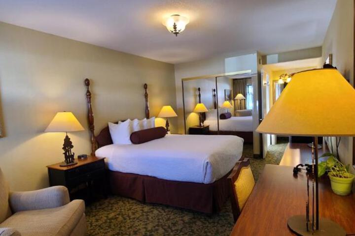 Dow Villa Motel - thumb 6